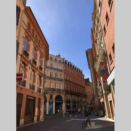 Toulouse Proche Centre - La Loggia De Jolimont Apartment Toulouse